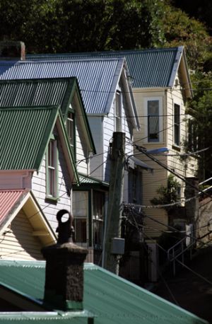 Wellington City Houses 